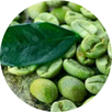 Mango africano