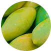 Mango africano